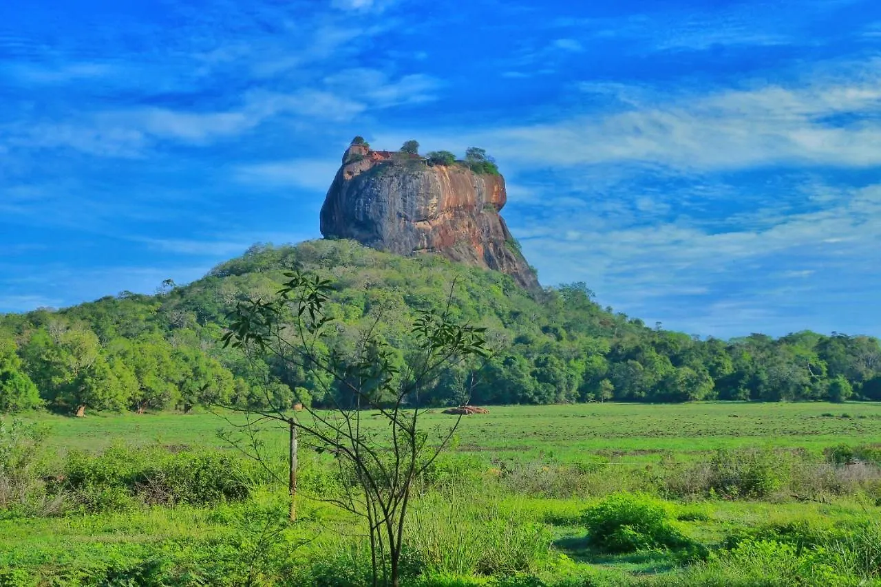Sigiriya Free View Tree House & Villa Couette-café