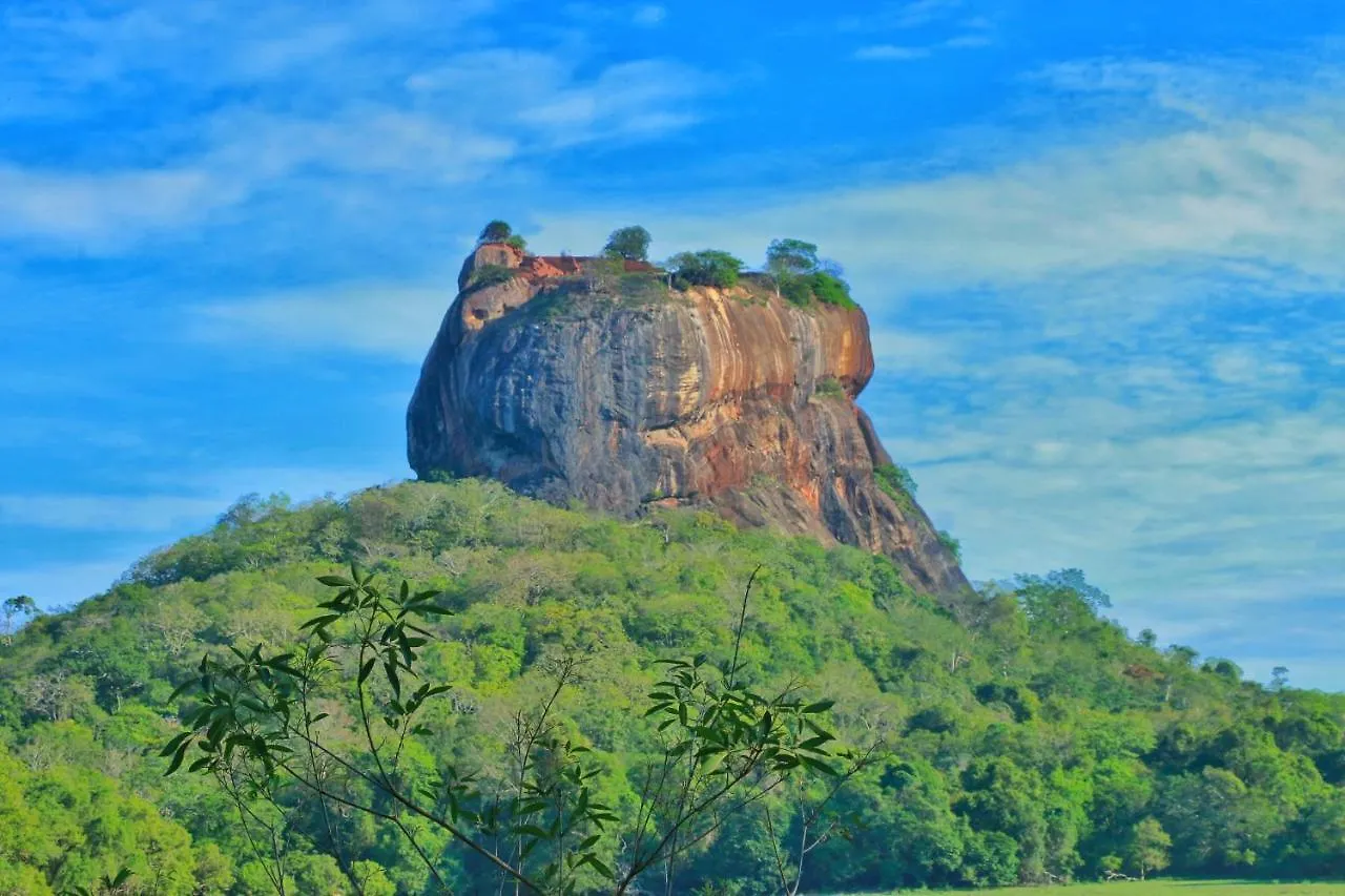 Sigiriya Free View Tree House & Villa